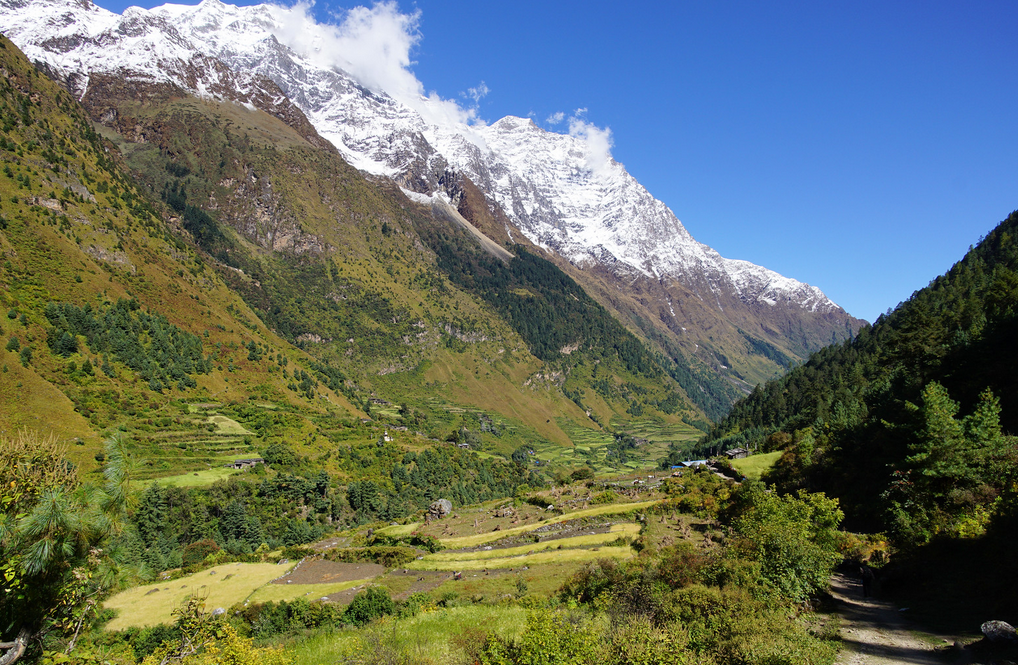 Manaslu Circuit vs. Annapurna Circuit: Which Trek is Right for You?