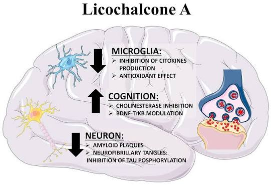 Licochalcone